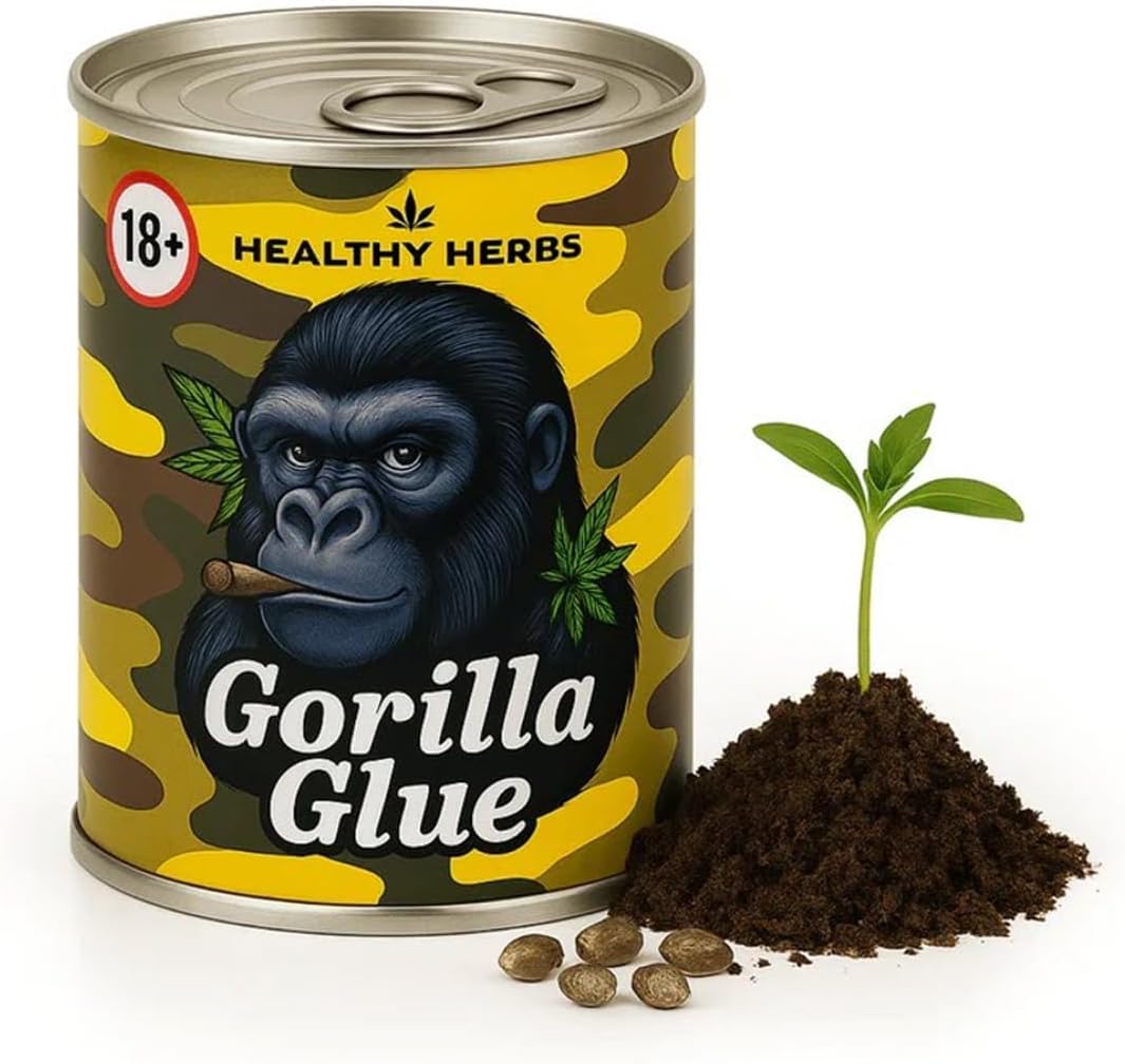 Cannabis Anbau Starter-Kit/Set für 1 Automatic Hanf/Weed Pflanzen inkl. Dünger und Growanleitung für Anfänger (Gorilla Glue)