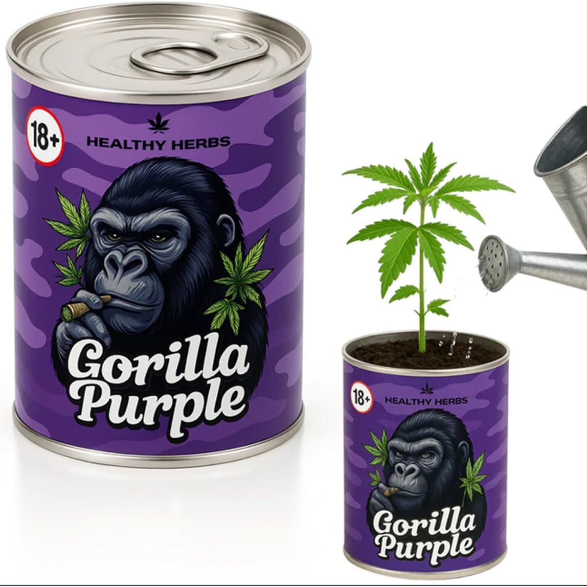 Cannabis Anbau Starter-Kit/Set für 1 Automatic Hanf/Weed Pflanzen inkl. Dünger und Growanleitung für Anfänger (Gorilla Purple)
