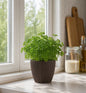 5x Blumentöpfe Mokka Ø 14,0 x 12,5 cm - 1,4 L Pflanztopf Übertopf Blumentopf