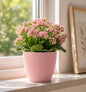 5x Blumentöpfe Rosa Ø 17,3 x 15,3 cm - 2,5 L Pflanztopf Übertopf Blumentopf Topf
