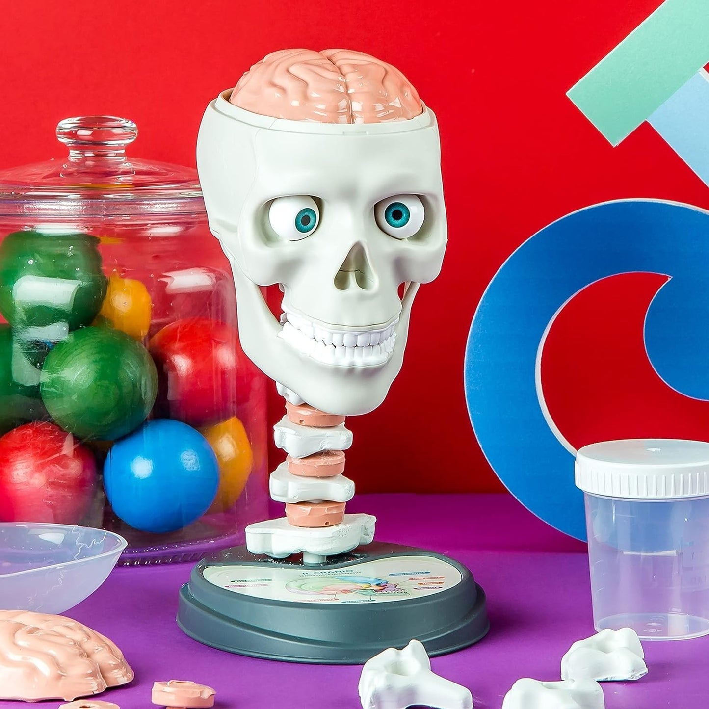 Clementoni 59221 Galileo Lab Verrückte Anatomie Experimentierkasten Schädel