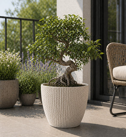 5x Blumentöpfe Altweiß Ø 21,6 x 19,2 cm - 5 L Pflanztopf Übertopf Blumentopf
