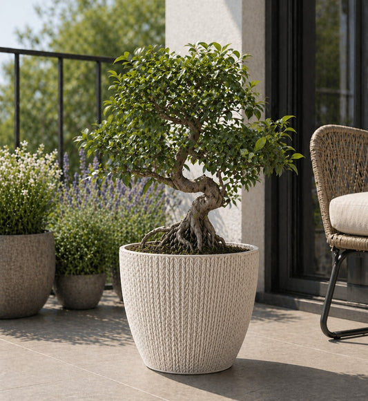 5x Blumentöpfe Altweiß Ø 21,6 x 19,2 cm - 5 L Pflanztopf Übertopf Blumentopf