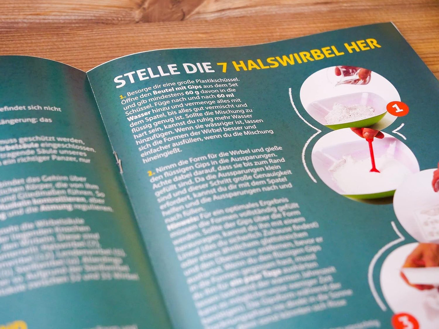 Clementoni 59221 Galileo Lab Verrückte Anatomie Experimentierkasten Schädel