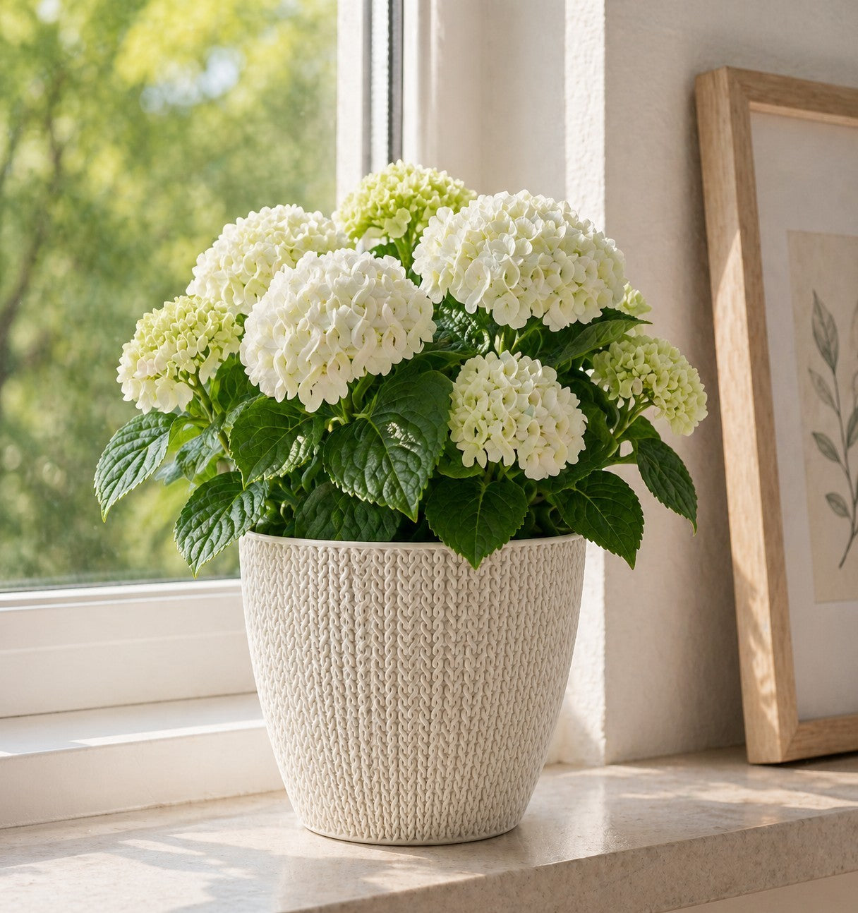 5x Blumentöpfe Altweiß Ø 17,3 x 15,3 cm - 2,5 L Pflanztopf Übertopf Blumentopf