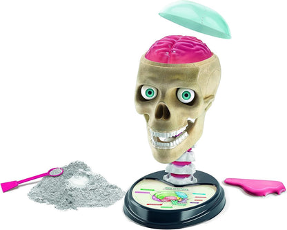 Clementoni 59221 Galileo Lab Verrückte Anatomie Experimentierkasten Schädel