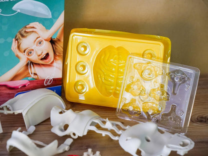 Clementoni 59221 Galileo Lab Verrückte Anatomie Experimentierkasten Schädel