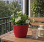5x Blumentöpfe Rot Ø 17,3 x 15,3 cm - 2,5 L Pflanztopf Übertopf Blumentopf Topf