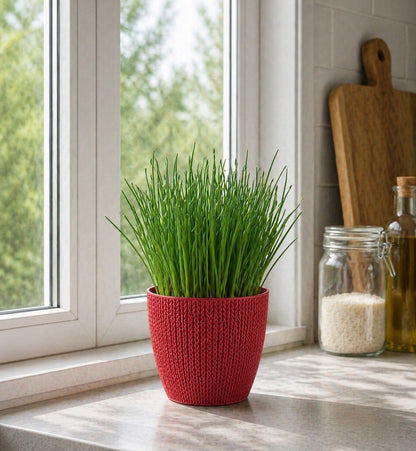 5x Blumentöpfe Rot Ø 14,0 x 12,5 cm - 1,4 L Pflanztopf Übertopf Blumentopf Topf