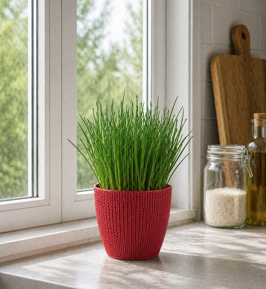 5x Blumentöpfe Rot Ø 14,0 x 12,5 cm - 1,4 L Pflanztopf Übertopf Blumentopf Topf