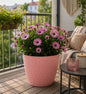 5x Blumentöpfe Rosa Ø 21,6 x 19,2 cm - 5 L Pflanztopf Übertopf Blumentopf Topf