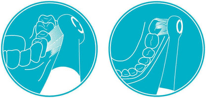 4er Set edel+white Dual Clean Ultrasoft Airbag Bürstenköpfe für elektrische Zahnbürste I Geeignet für alle edel+white Schall Zahnbürsten I Nachfüllpackung mit 4 Stück