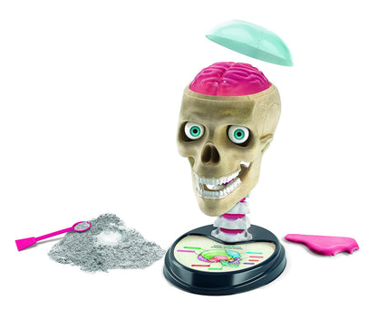 Clementoni 59221 Galileo Lab – Verrückte Anatomie, Modell des menschlichen Schädels, Bestandteile des Gehirns zum Entdecken, Medizin & Biologie für Kinder ab 8 Jahren