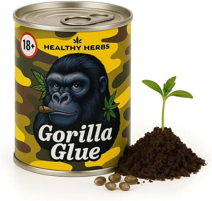 Cannabis Anbau Starter-Kit/Set für 1 Automatic Hanf/Weed Pflanzen inkl. Dünger und Growanleitung für Anfänger (Gorilla Glue)