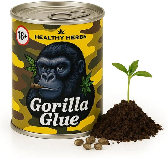Cannabis Anbau Starter-Kit/Set für 1 Automatic Hanf/Weed Pflanzen inkl. Dünger und Growanleitung für Anfänger (Gorilla Glue)