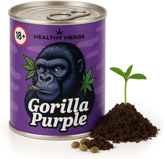 Cannabis Anbau Starter-Kit/Set für 1 Automatic Hanf/Weed Pflanzen inkl. Dünger und Growanleitung für Anfänger (Gorilla Purple)